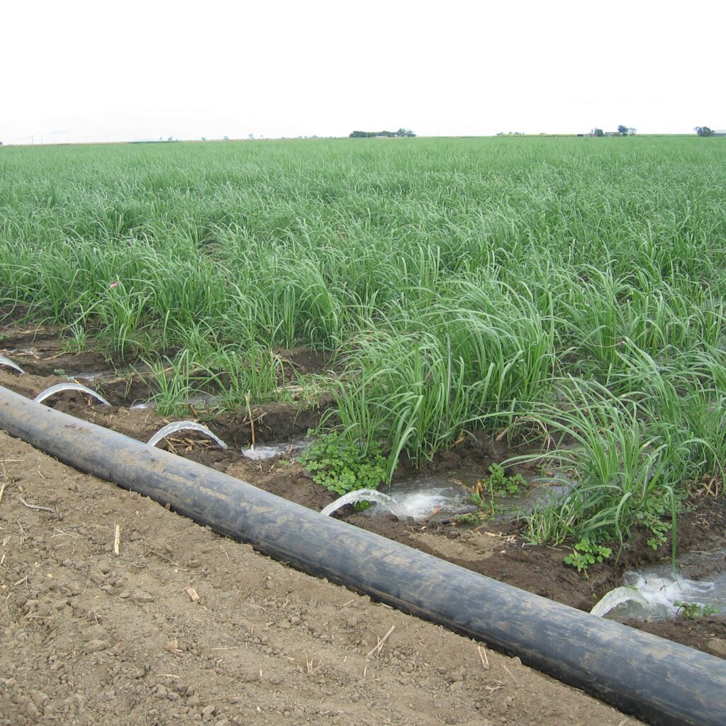 Modern Irrigation