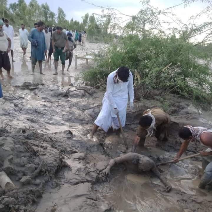 Casualty in Flood in Pakistan 2022